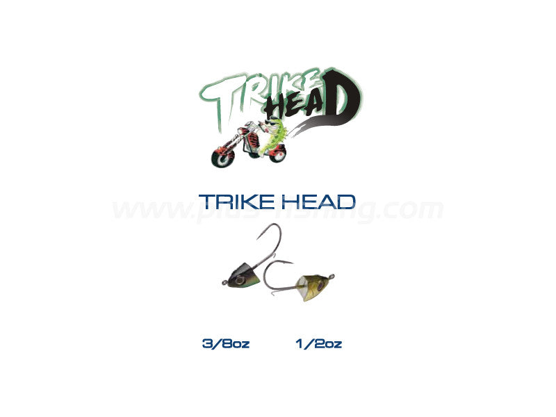 Trike Head Image principale du produit