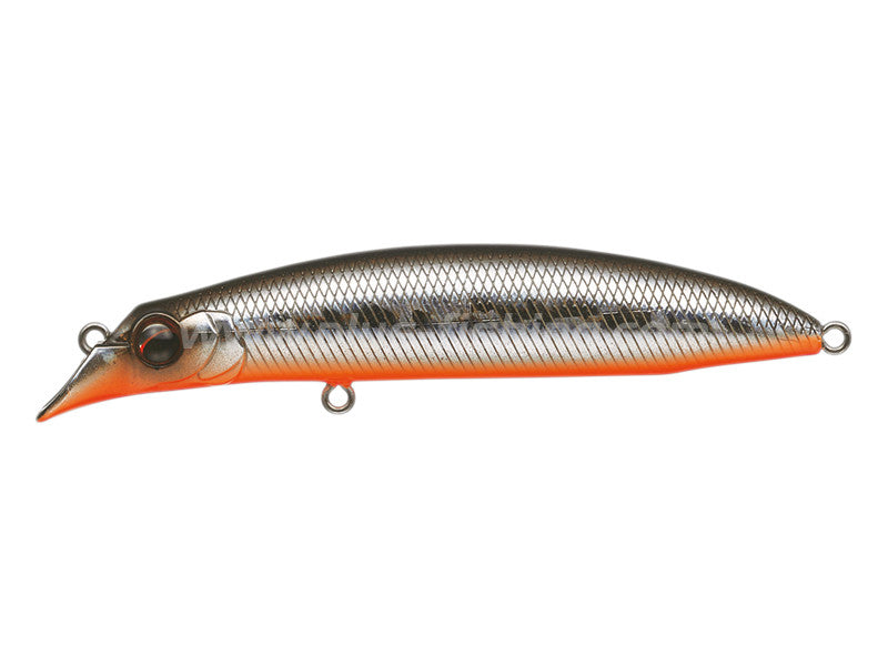 True Round | 94f #717 Seguro Orange Belly