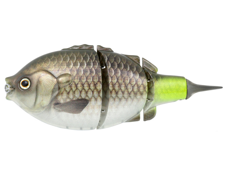 Vassallo Swimmer
