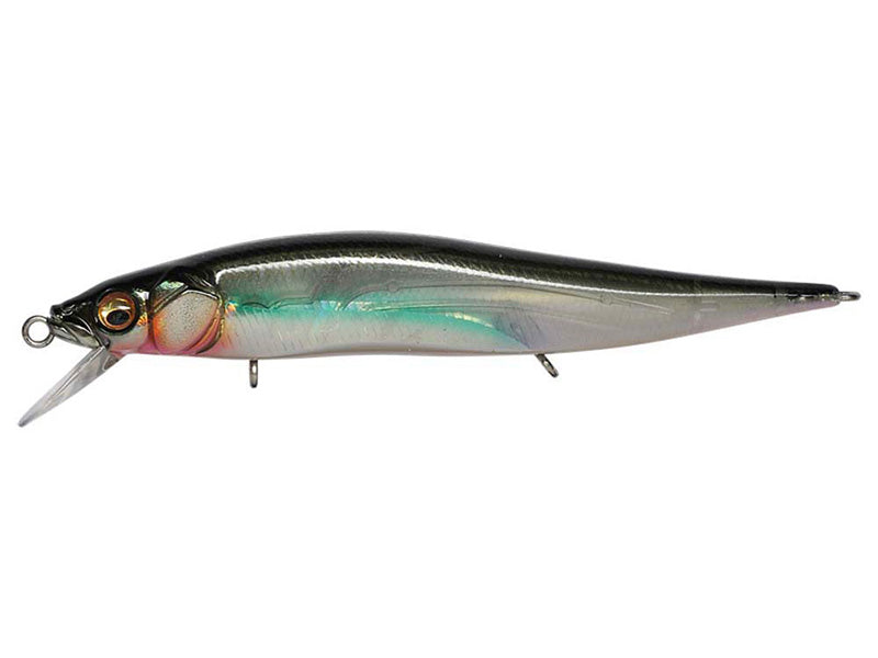 Vision Oneten Jr. | Ito Clear Raker