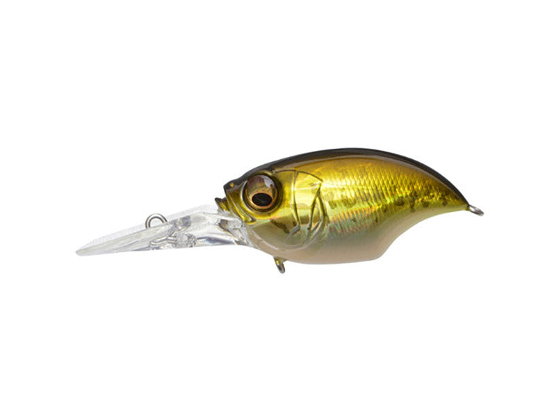 Wiggle Griffon | Gg Bass