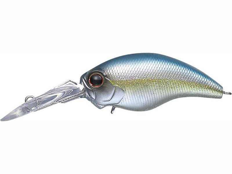 Wild Hunch  | #239 Blue Back Heling