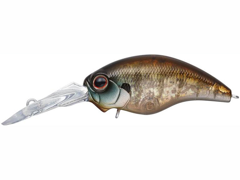 Wild Hunch  | #246 Chigill