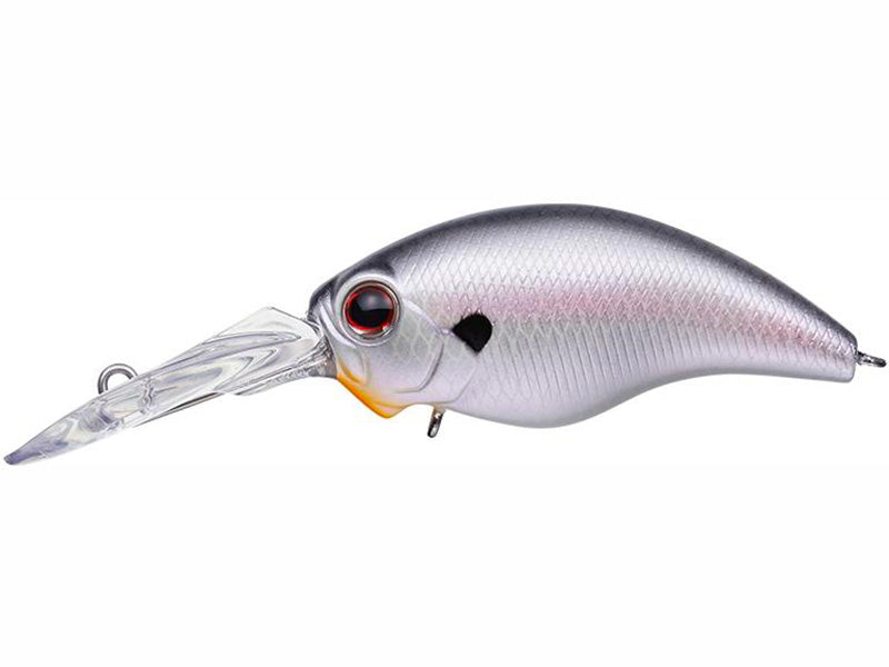 Wild Hunch  | #362 Cold Shad