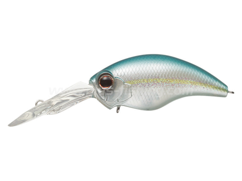 Wild Hunch 8 Footer | #239 Blue Back Heling