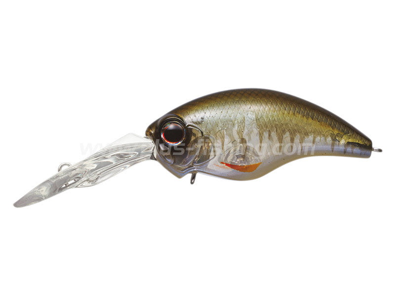 Wild Hunch 8 Footer | #270 Skeleton Ketabass