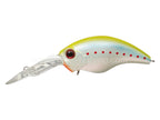 Wild Hunch 8 Footer | #278 Morizo Chart