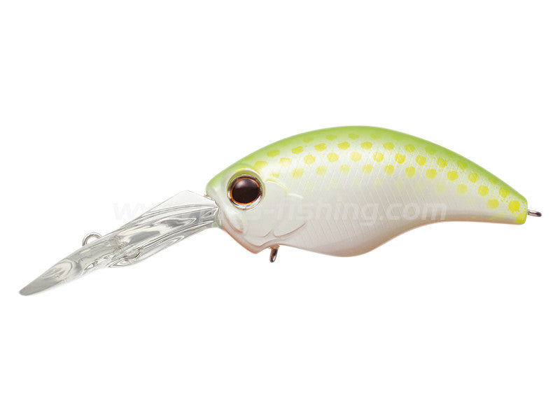 Wild Hunch 8 Footer | #288 Secret White Lime
