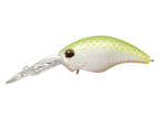 Wild Hunch 8 Footer | #288 Secret White Lime