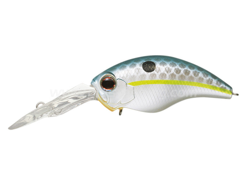 Wild Hunch 8 Footer | #289 Queen Shad