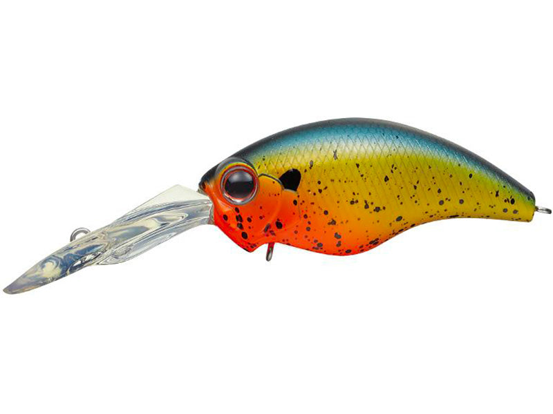 Wild Hunch 8 Footer | #381 Breading Sunfish