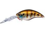 Wild Hunch 8 Footer | #50 Baby Gill