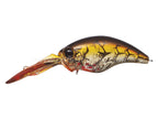 Wild Hunch 8 Footer | #81 Breading Brown Craw