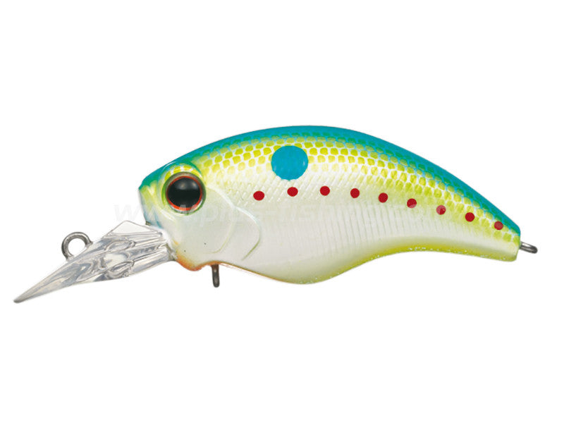Wild Hunch Sr | #271 Champion Shad