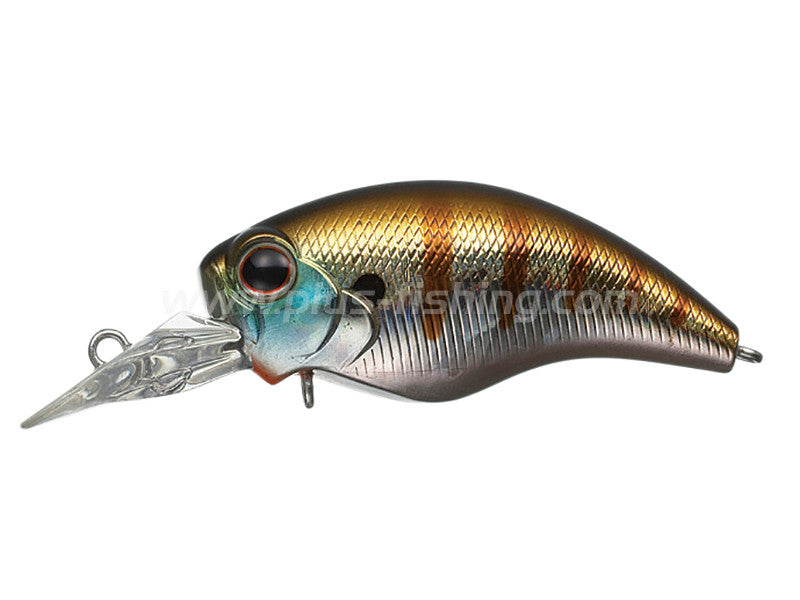 Wild Hunch Sr | #50 Baby Gill