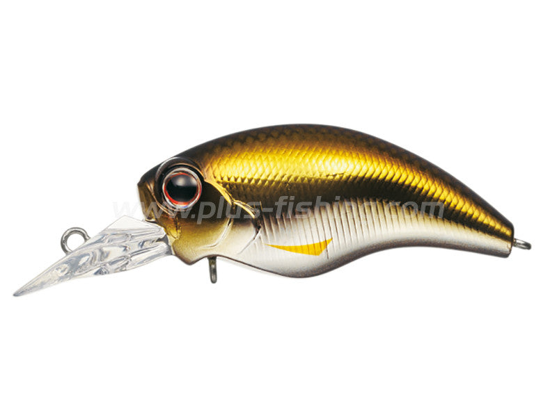 Wild Hunch Sr | #604 Flashing Gold