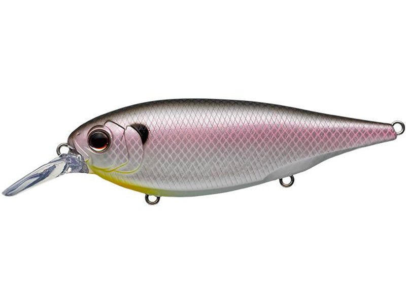 X-over | #362 Cold Shad