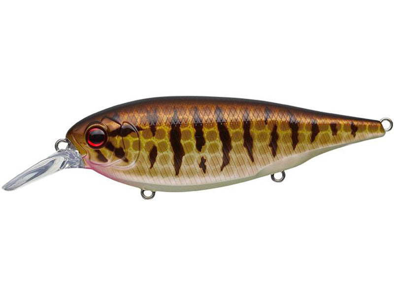 X-over | #392 Small Mouth Bass