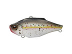 Zeta | #272 King Shad