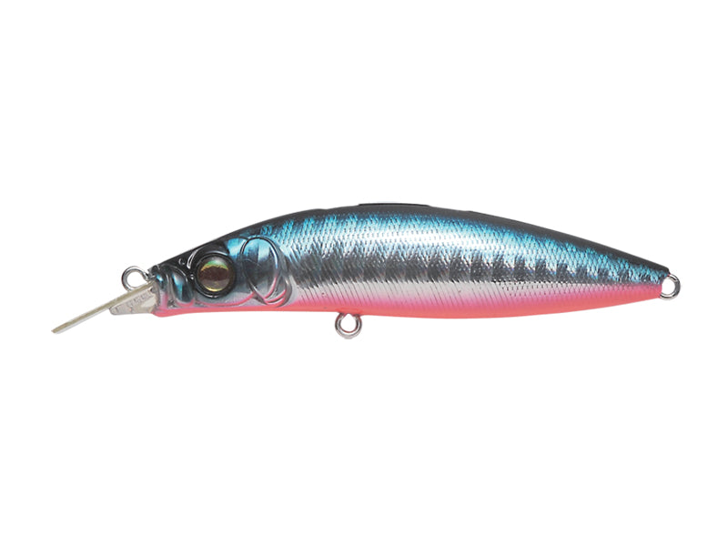 Zonk77 Gataride  | Gg Blue Pink