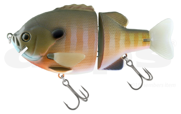 bullshooter-jr-hi-floating-spawning-gill