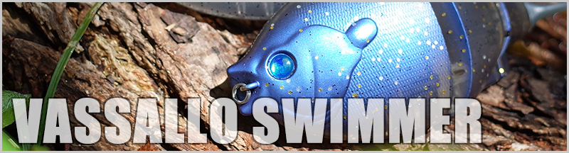 vassallo swimmer