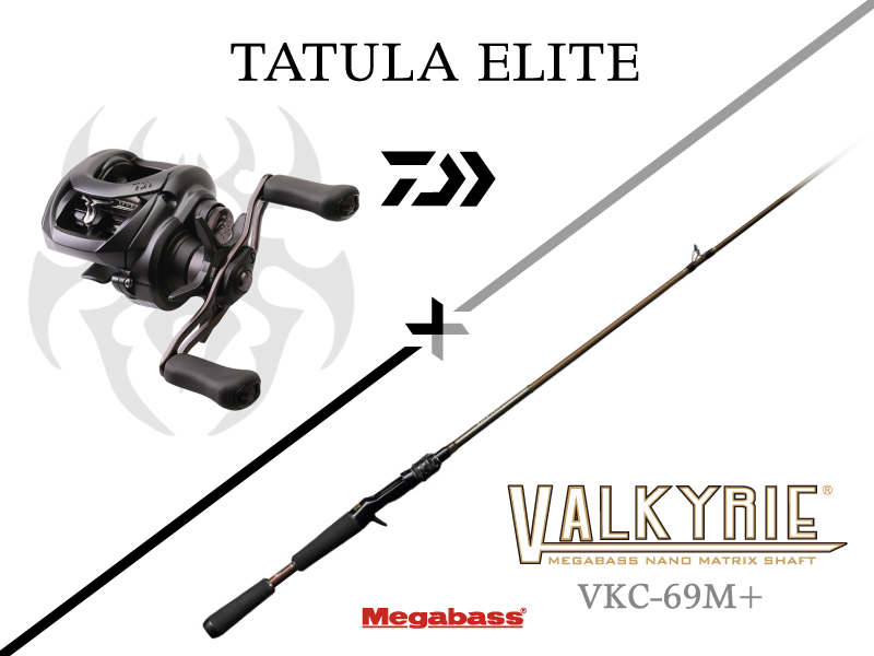 tatula 100hl