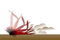 05-62