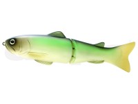 NSS_250_07-117