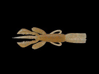 pine-shrimp35_suyama_brown