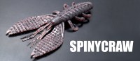 spiny-craw_main