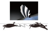 No image set 