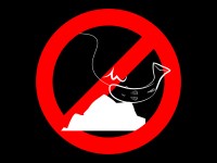 No image set 