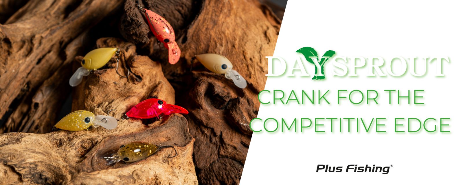 Daysprout: Crank for the Competitive Edge