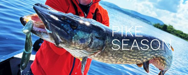 Pike season has started - Slide Swimmer Shudder Tail wins